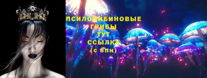 купить  цена  Дмитровск  Псилоцибиновые грибы MAGIC MUSHROOMS 